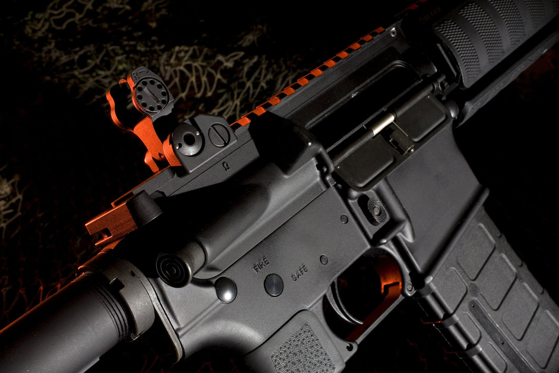 Detailed Review of Palmetto State Armory (PSA) AR-15