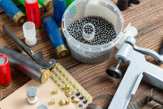 12 Gauge Options for Hunting Big Game