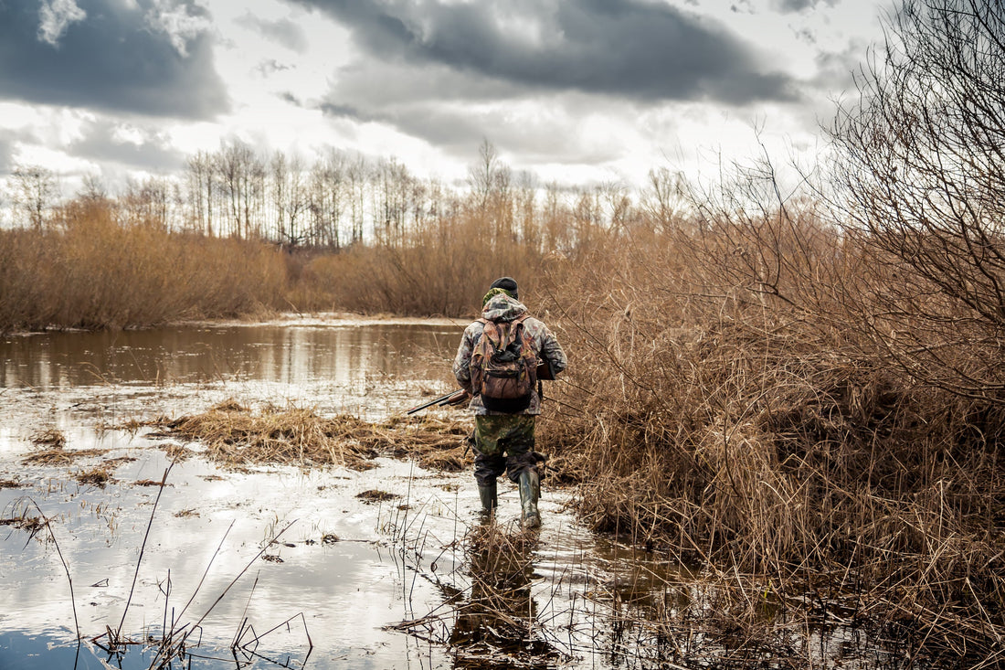 The 7 Best Duck Shot Loads for Duck Hunting