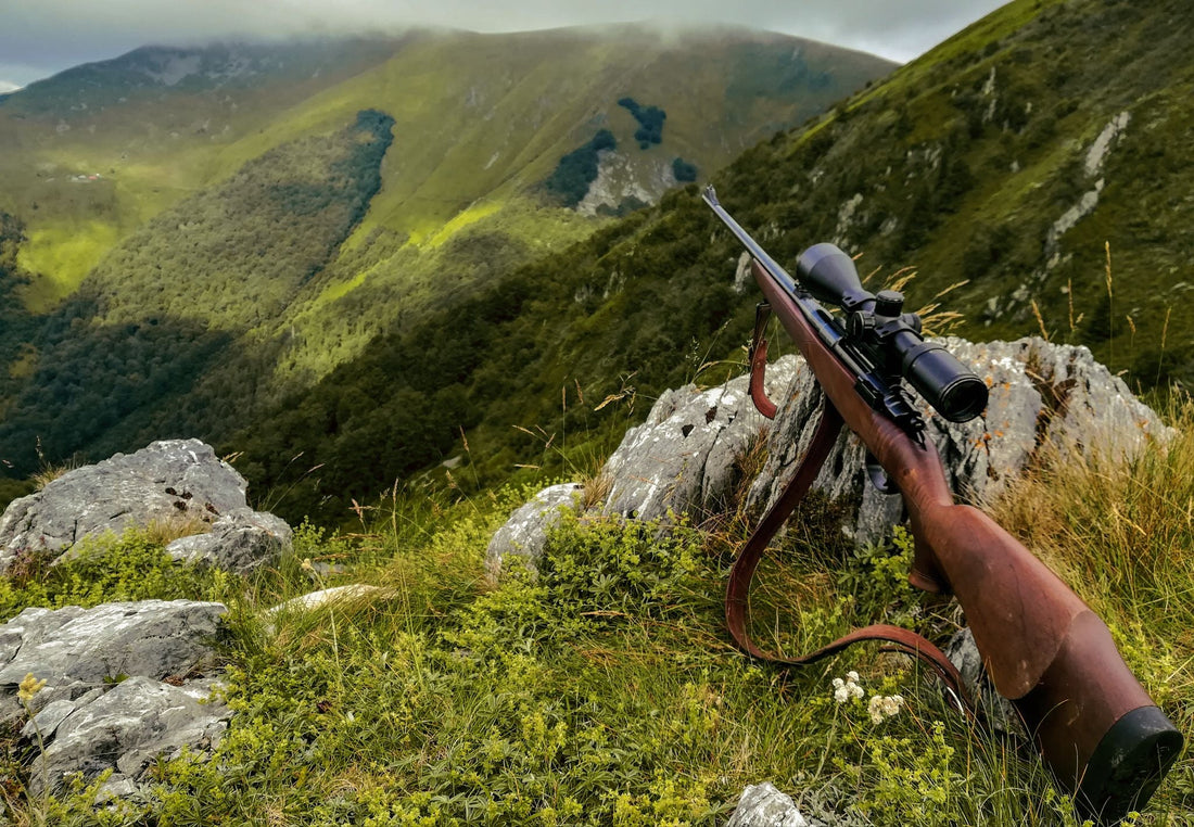 Best .270 Winchester For Your Next Game Harvest