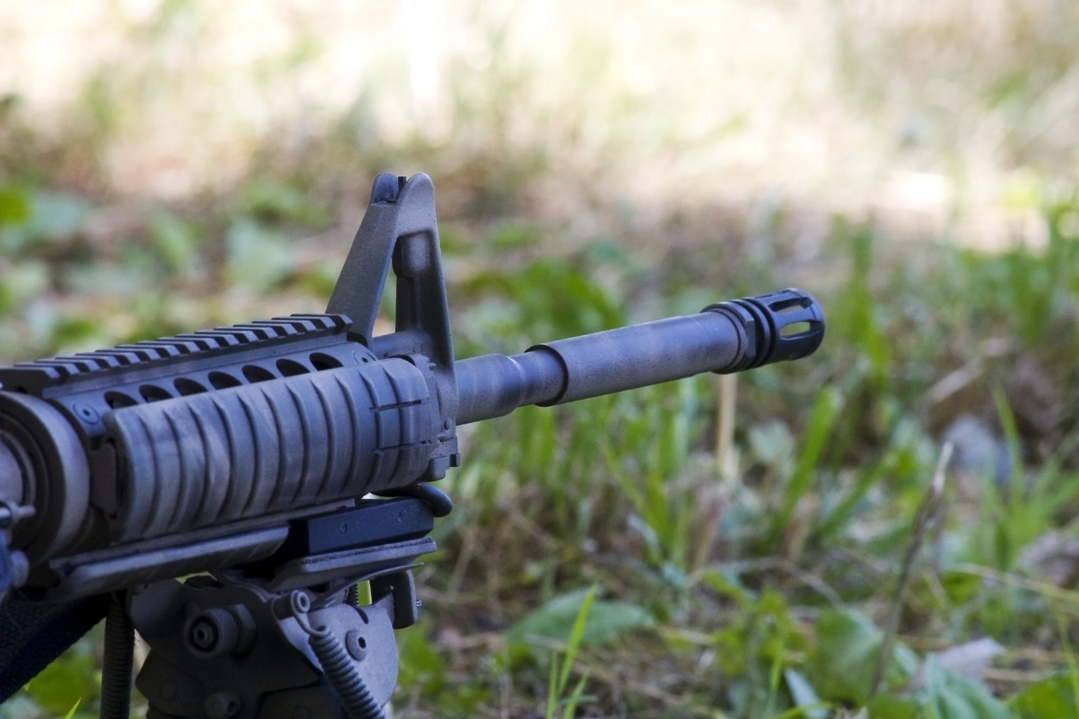 The 8 Best AR-15 Iron Sights