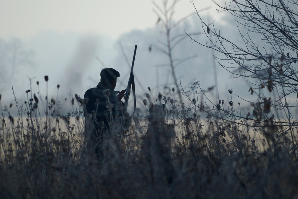 7 Best Shotguns for Hunting