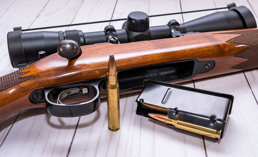 .308 Win vs. 30-06: History, Performance, Accuracy, Power, and More