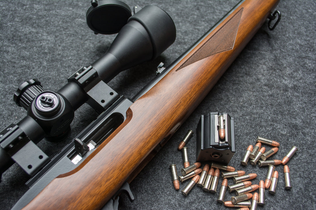 Top .22 LR Rifles : A Comprehensive Guide
