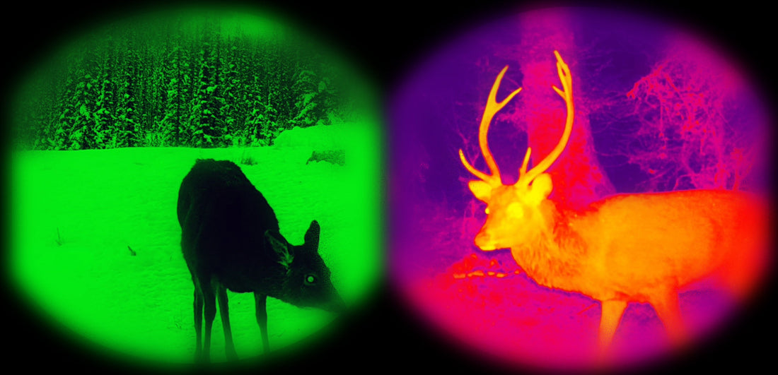 Thermal Imaging vs Night Vision: Which Is Best for What You Need?