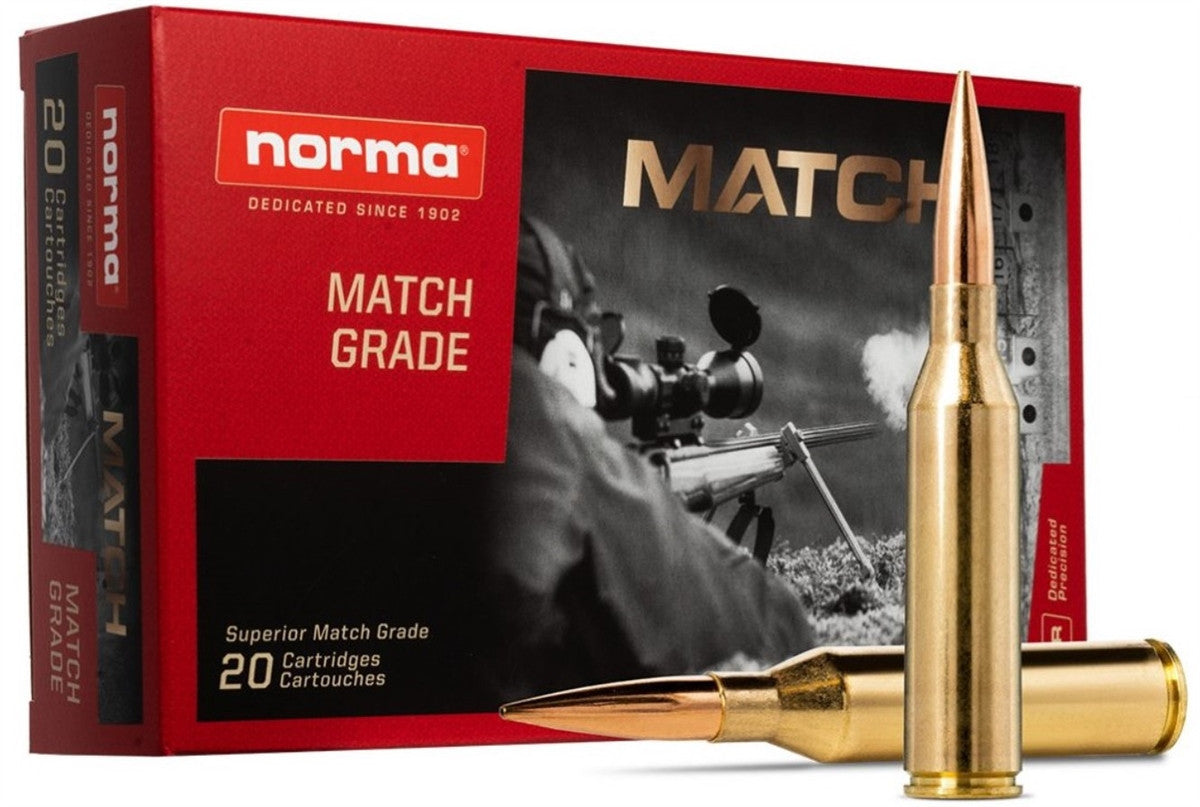 Norma 300 Norma Magnum 230 Grain Hybrid Target