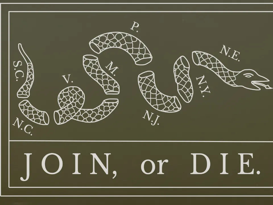 Close-up of the engraved eight-piece snake and JOIN, or DIE. on the can